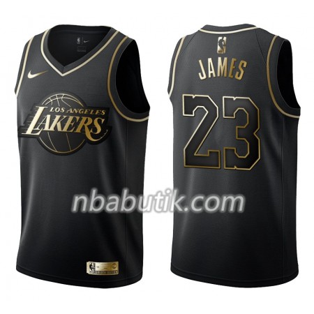 NBA Mænd Trøje Los Angeles Lakers LeBron James 23 Nike Sort Golden Edition Swingman